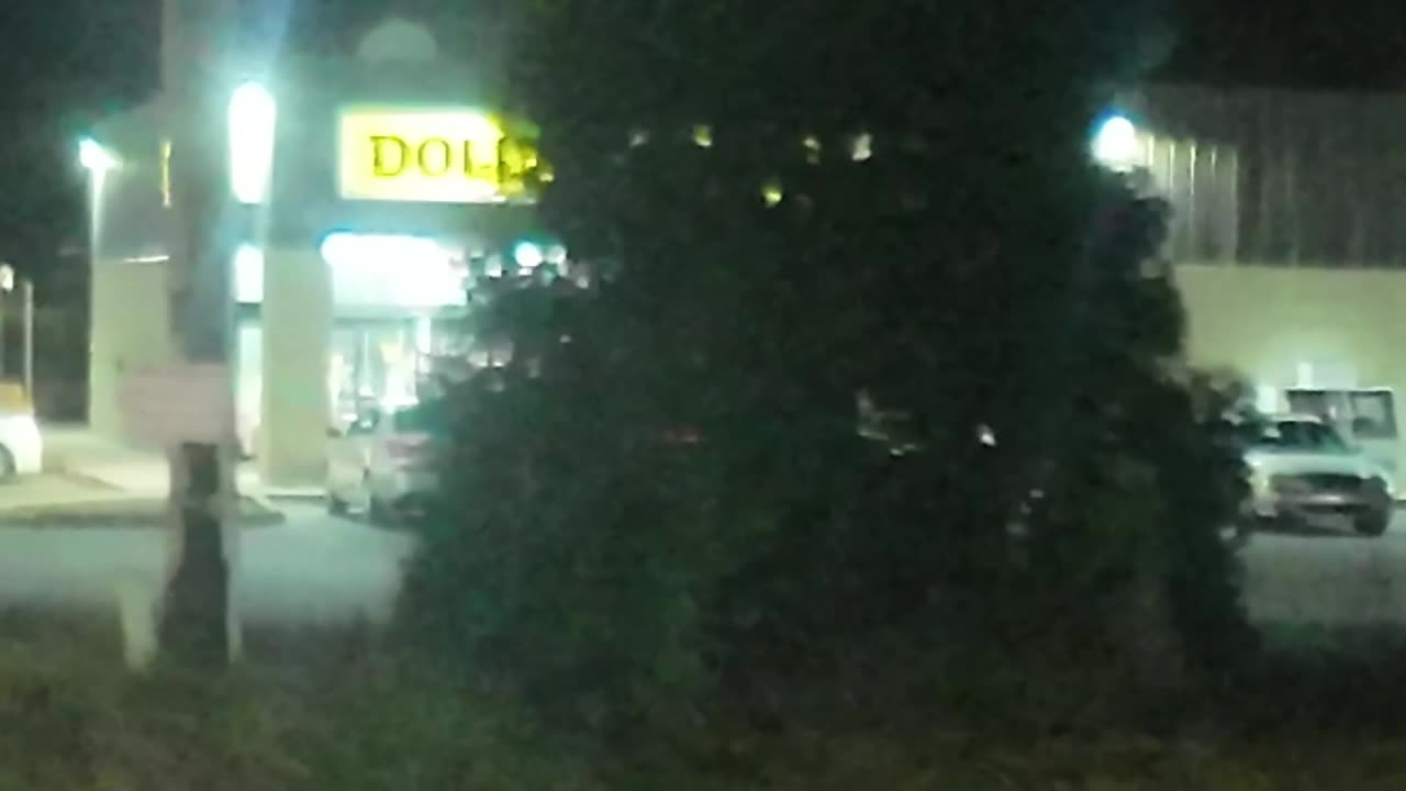 party at the dollar general