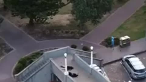 The moment the Australian police neutralize the second gunman with three shots.