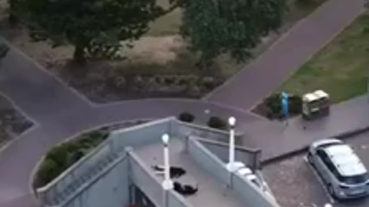 The moment the Australian police neutralize the second gunman with three shots.