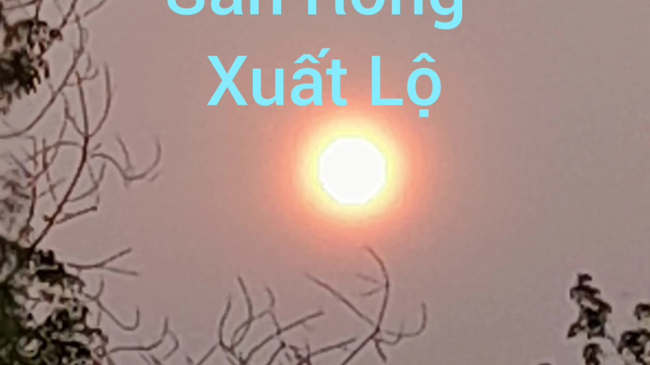 sân rồng ( hội long hoa )