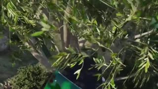🤯😱 You Won't Believe How This Happened! | FunFM