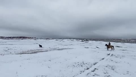 There's one! :) cartercountrymeats.com