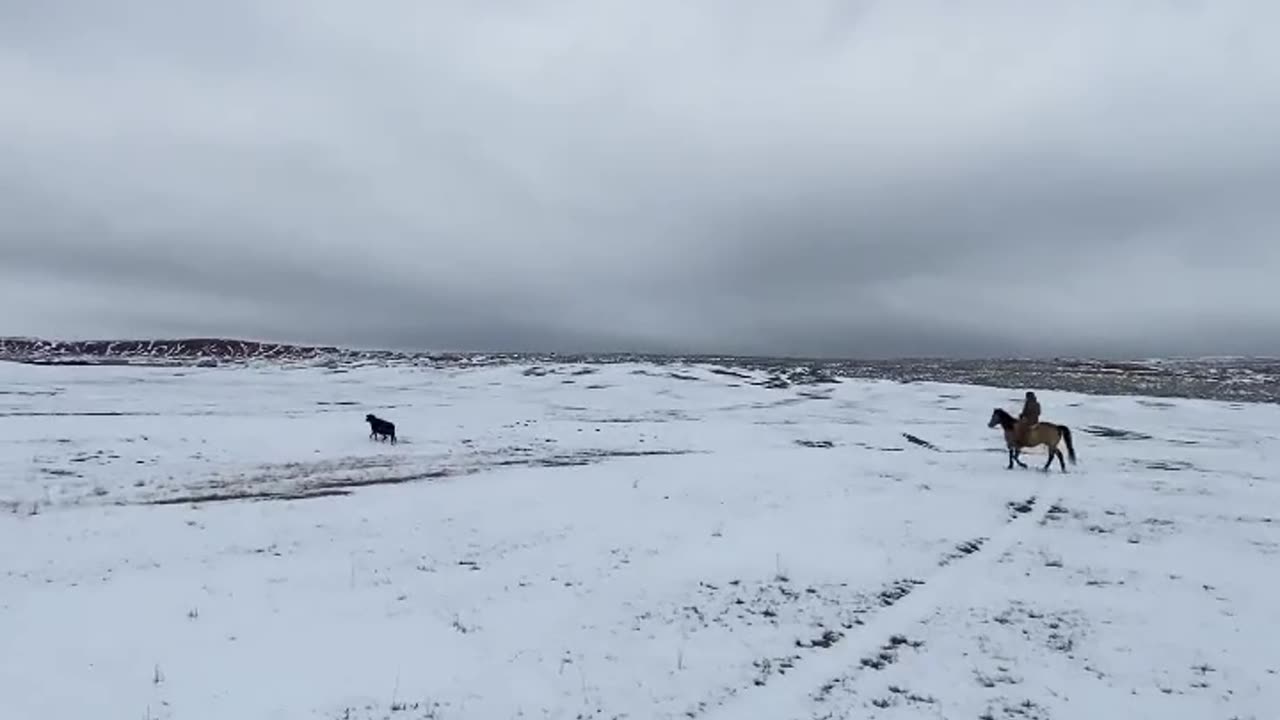 There's one! :) cartercountrymeats.com