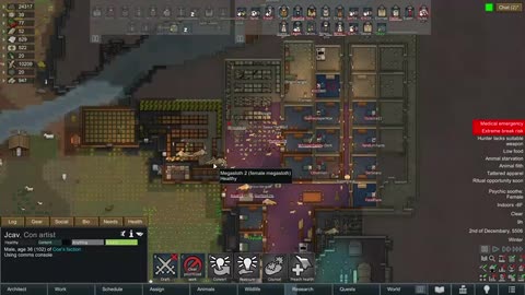 307 Rimworld w Necomi