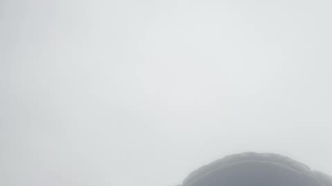 Pls so I can go live