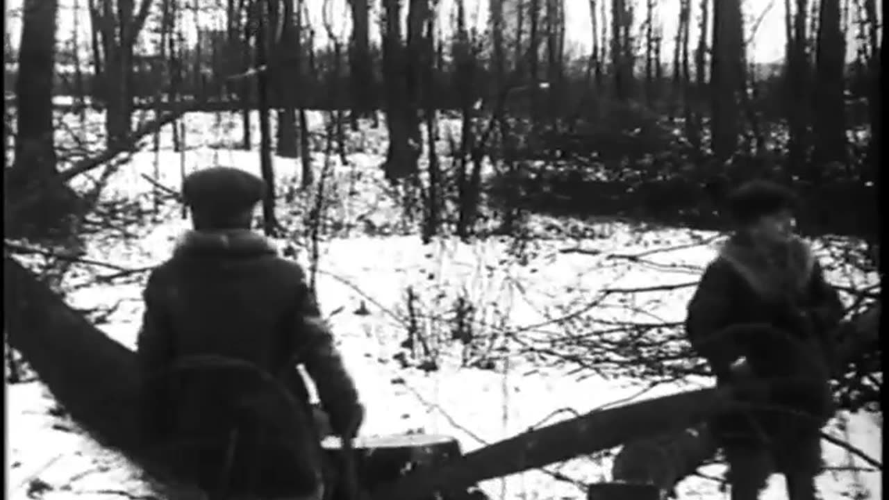 DAY AS LUMBERJACKS, A - DAY AS LUMBERJACKS, A - fc-fc-4197