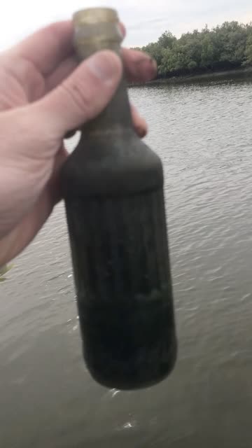Bottle Hunt Find! Old Bottle Pulled From Mangroves 🌿🧴