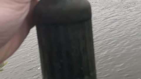 Bottle Hunt Find! Old Bottle Pulled From Mangroves 🌿🧴