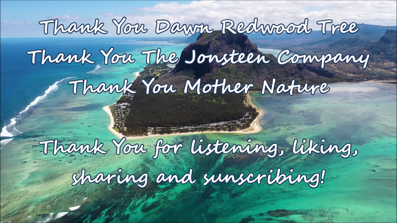 Loving Our Water Dawn Redwood Tree March 2021