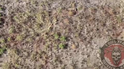 Ukriane war combat footage 10/1/25