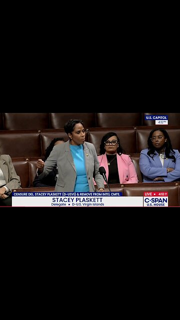 Stacey Plaskett DEFENDS Receiving Texts From Jeffrey Epstein