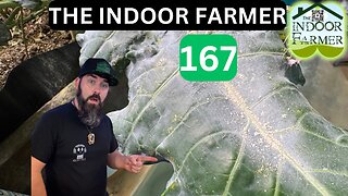 The Indoor Farmer 167, Leaf Me Wondering... Let's Grow.