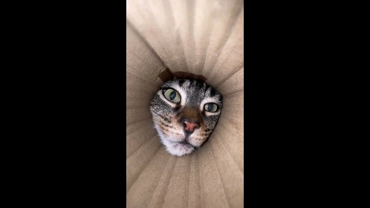 This is really funny😂