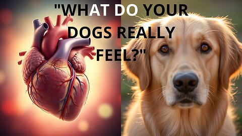 The Secret World of Canine Emotions: A Neuroscientific Perspective.