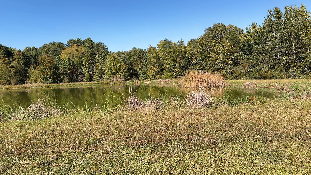 URBAN HUNTING MEAL OF THE DAY