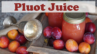 How to Can Pluot Juice