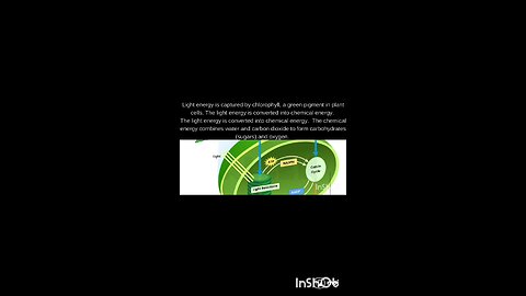 what is photosynthesis