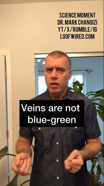 Veins are not blue-green