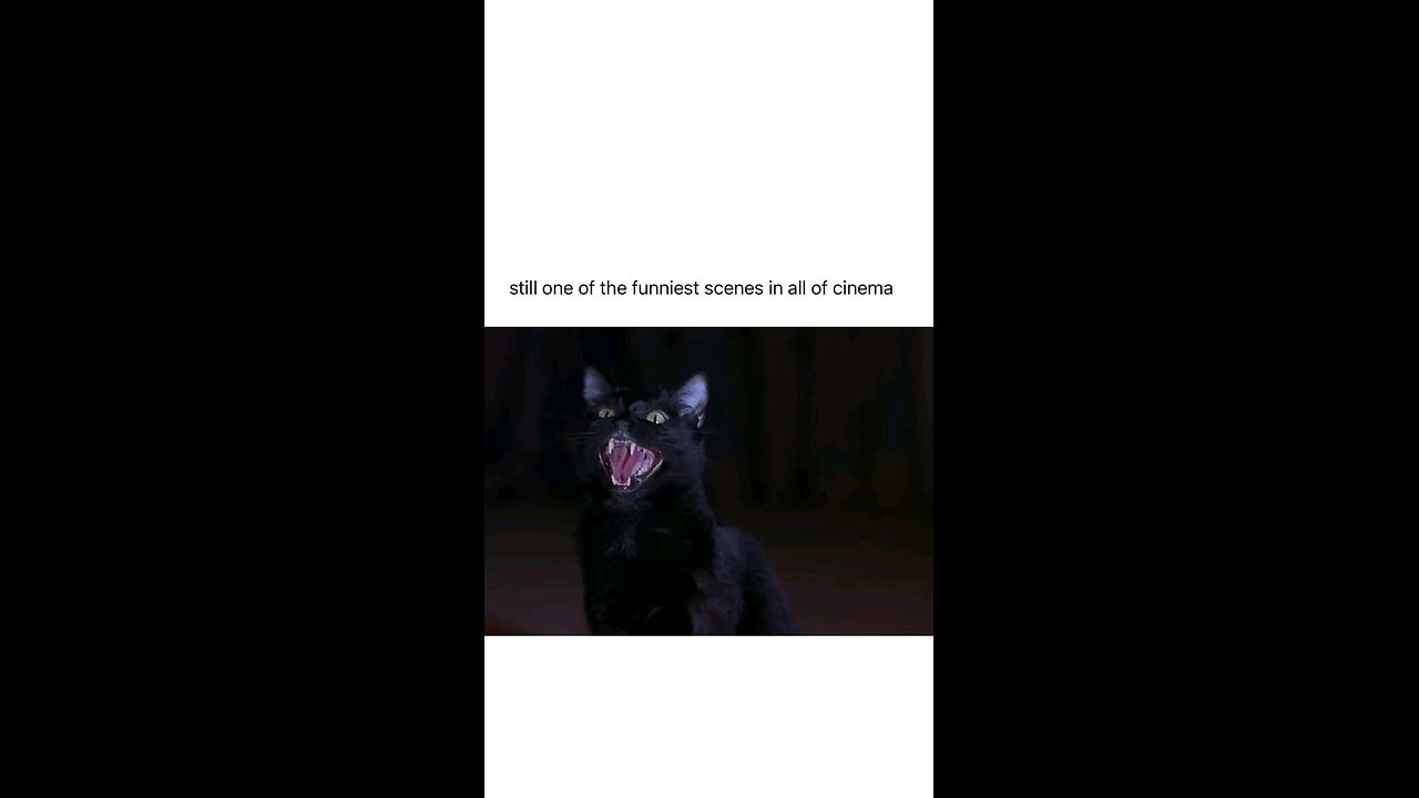 Still one of the Funniest Scenes in all of Cinema