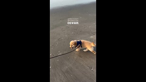 First time in ocean
