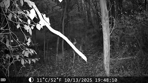 I would like to meet this guy