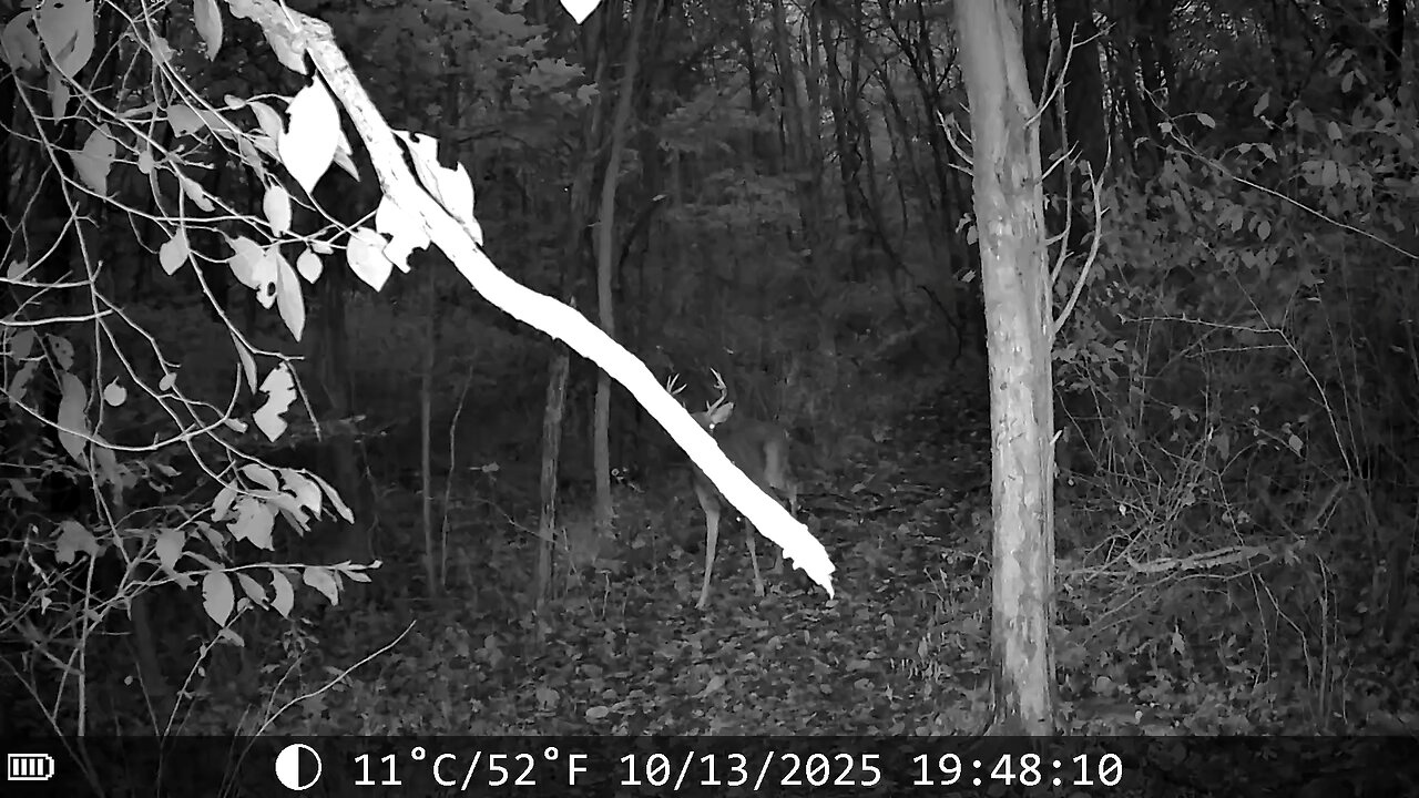 I would like to meet this guy