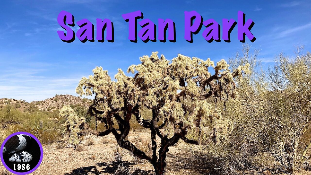 Hiking San Tan Mountain Regional Park