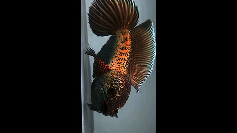 landscape your phone 😍😍😍😍😍