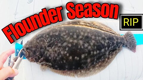 Say Goodbye to Flounder Fishing