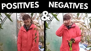 The Ups & Downs of Gardening and Life | A Personal Update