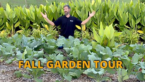 FULL FALL Garden Tour! 😍 / The Hillbilly Farmers🍠