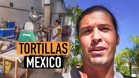 THIS IS HOW TORTILLAS ARE MADE | MEXICO