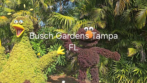 Walking Around Busch Gardens Tampa FL