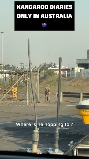 Kangaroo diaries only in Australia 🇦🇺