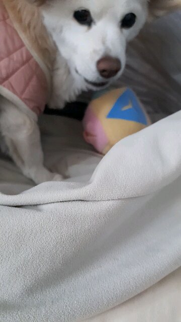 20260102. God with me.