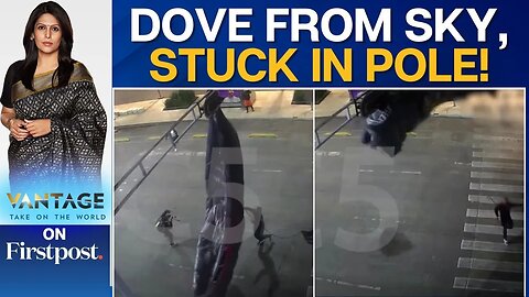 Skydiver Crash-lands, Gets Stuck in Traffic Light in Mexico | Vantage with Palki Sharma