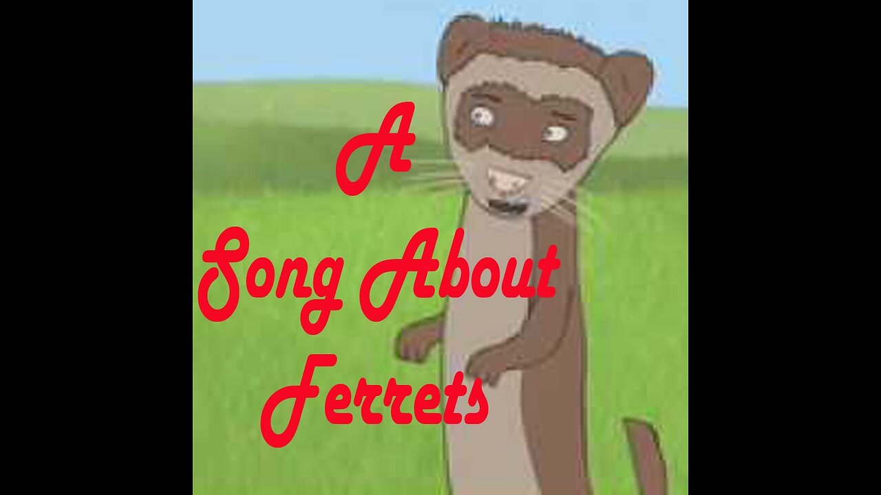 A Song About Ferrets