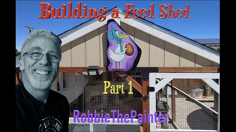 Building A Feed Shed For My Chickens