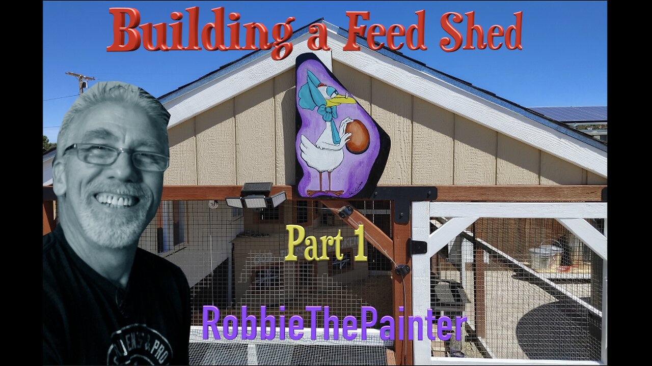 Building A Feed Shed For My Chickens