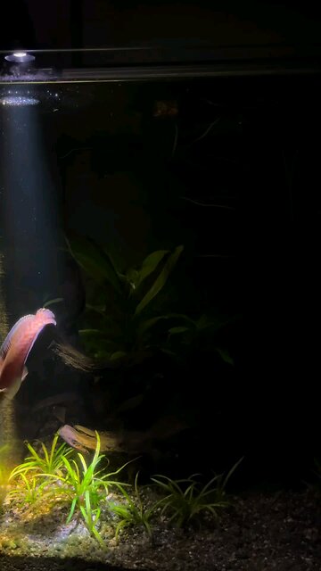 Two worlds stacked in silence.