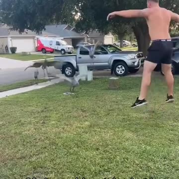 Man Teaches Birds to Dance – Feathered Moves You Can’t Miss!