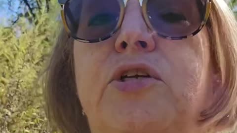 White churches owned, jailed and enslaved Black people