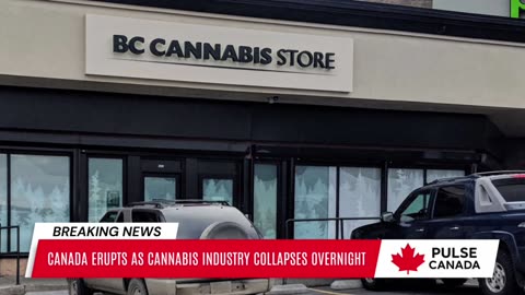 Canada ERUPTS as Cannabis Industry COLLAPSES OVERNIGHT - Carney FURIOUS!