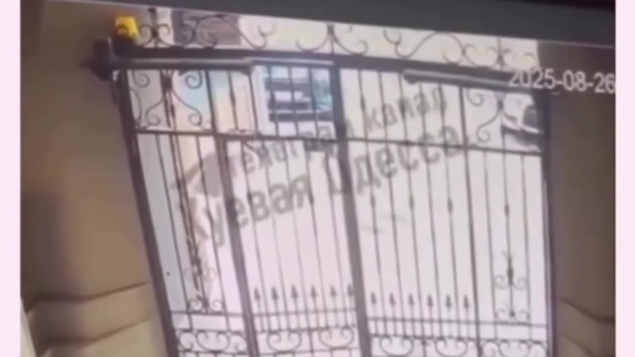 🤣🚨 What Happens When Police Are on the Job | FunFM