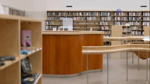 Why Do We Have Public Libraries? Community Hubs and Knowledge Centers