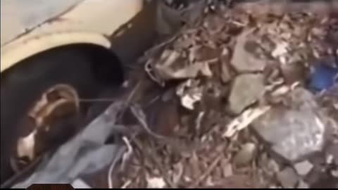 😱👻 Ghost on Abandoned Bus! | TheHauntingHour