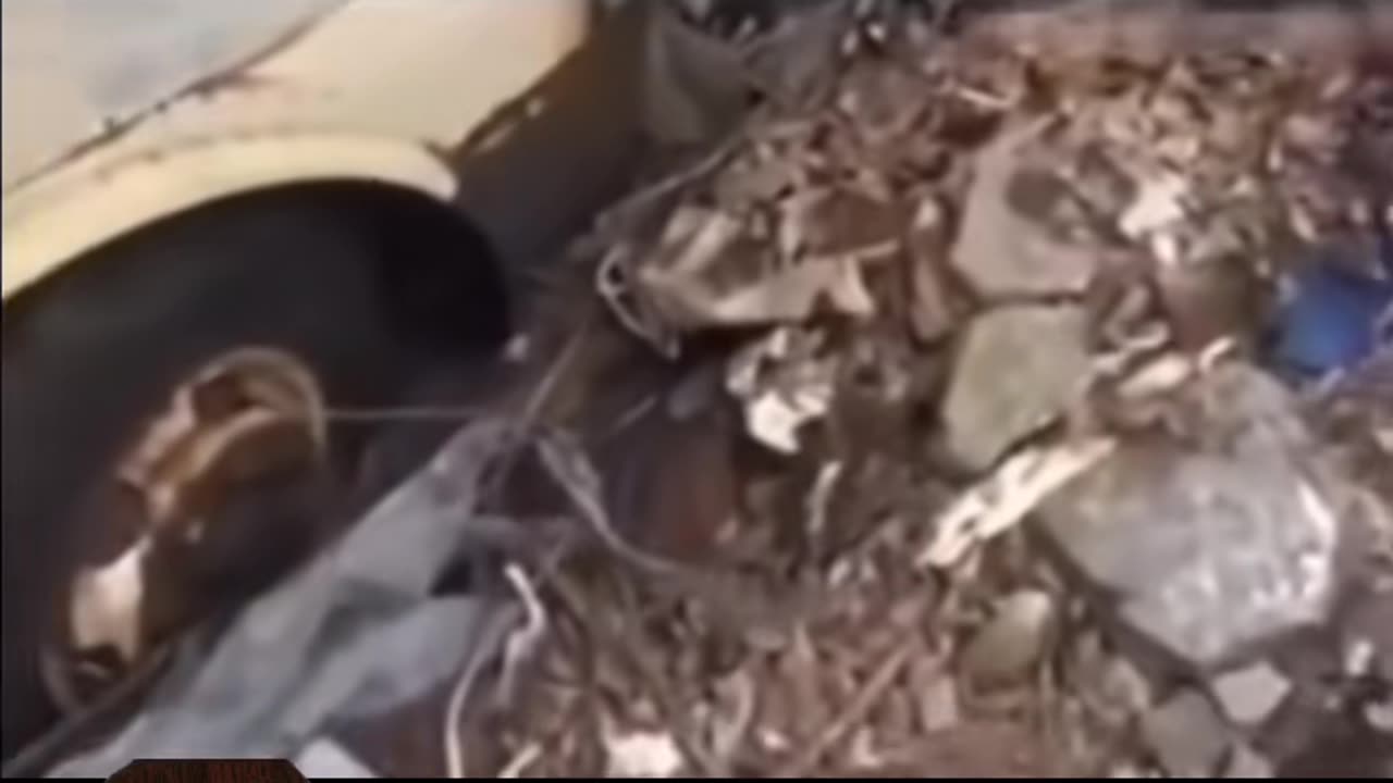 😱👻 Ghost on Abandoned Bus! | TheHauntingHour