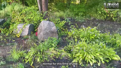 Karen from Milford, NH, USA, reports unusual late-blooming flowers. Have you noticed anything?