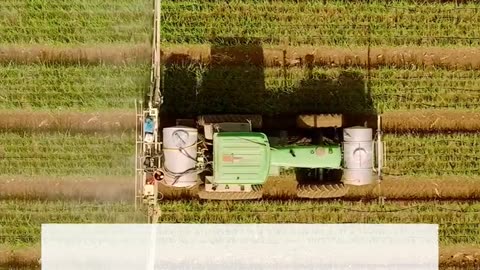 Top Agrochemical Companies in India – NACL Industries