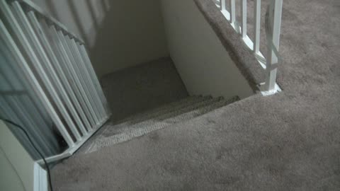 ‎June ‎27, ‎2019, ‏‎3:55:38 AM